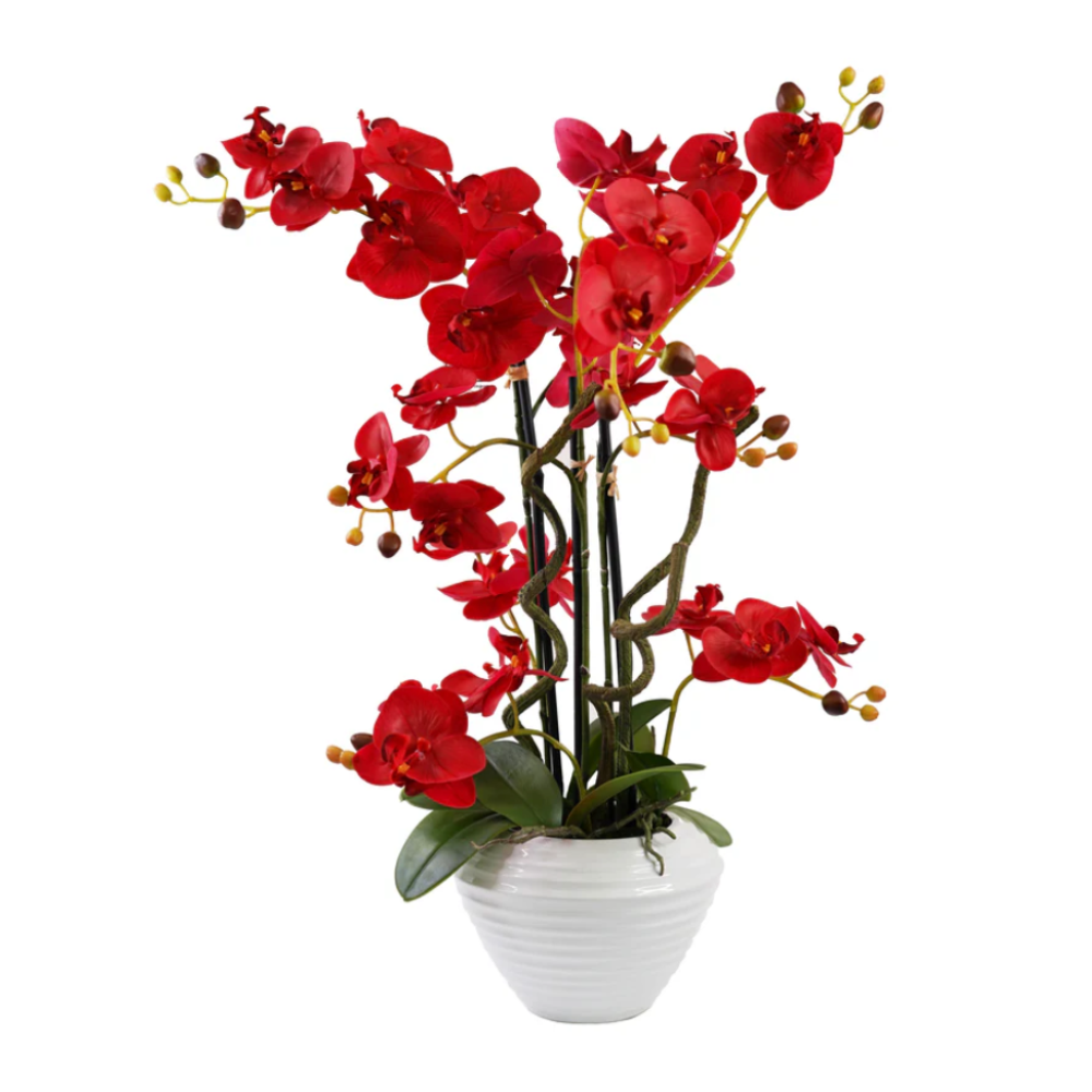 TITUS Orchid Arrangement Decor Red