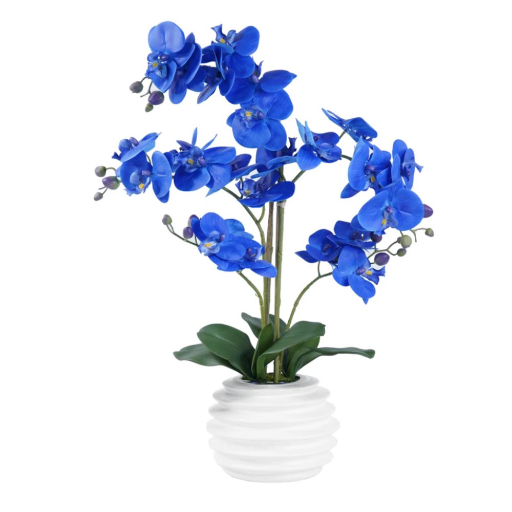 BARRETT Orchid Arrangement Decor Blue