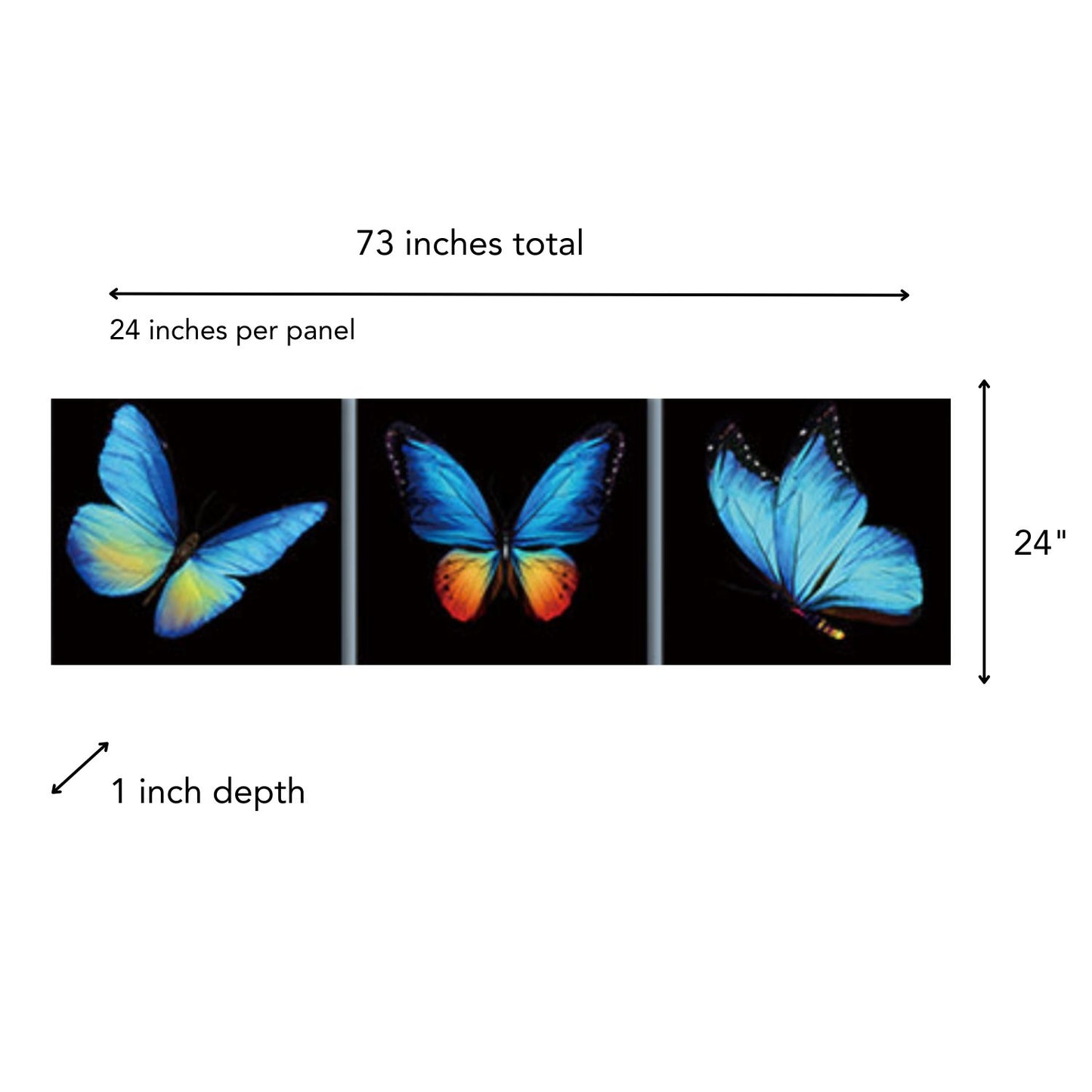 Blue Butterflies Tempered Glass Picture