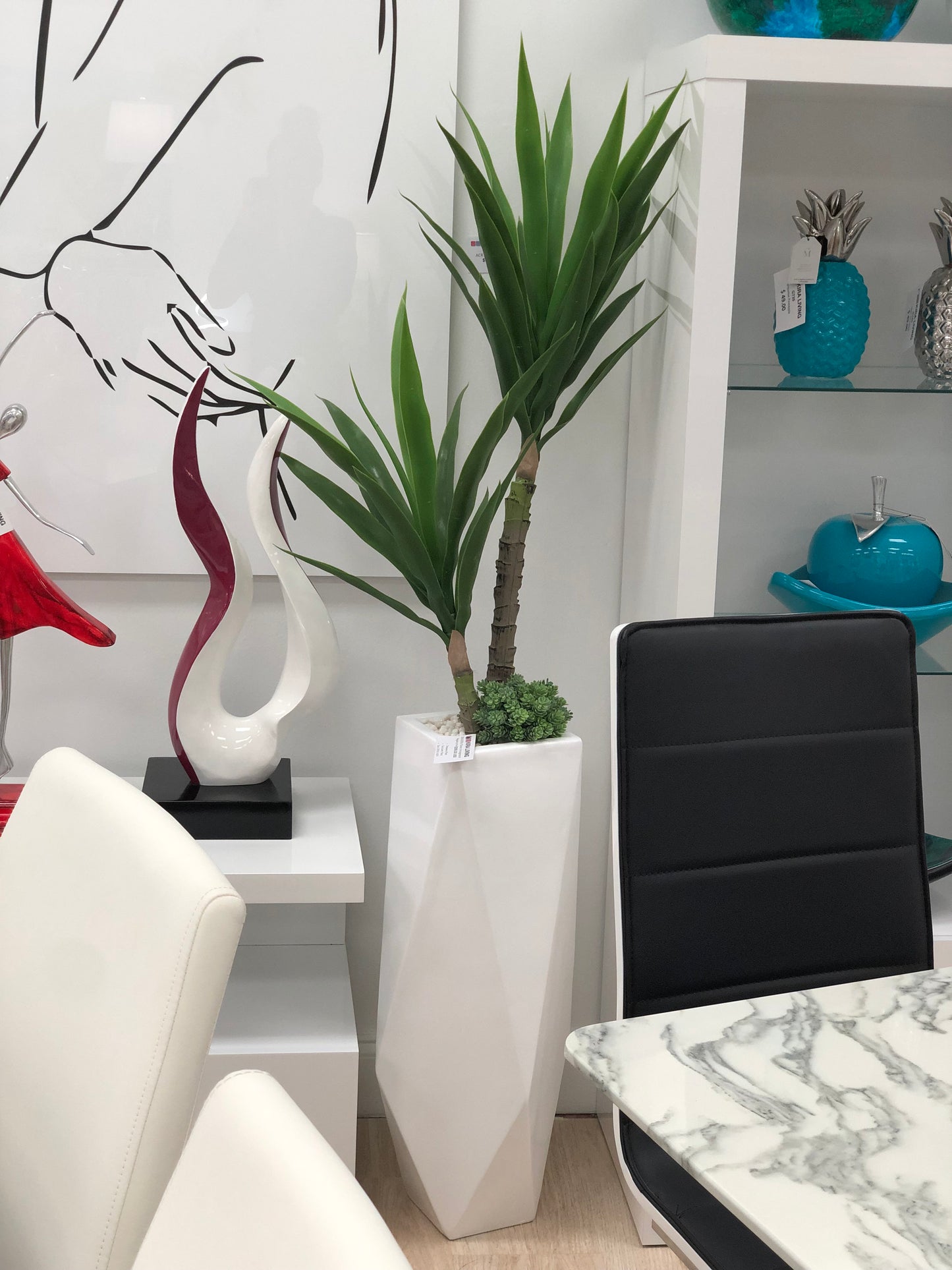 Dracaena Planter Arrangement