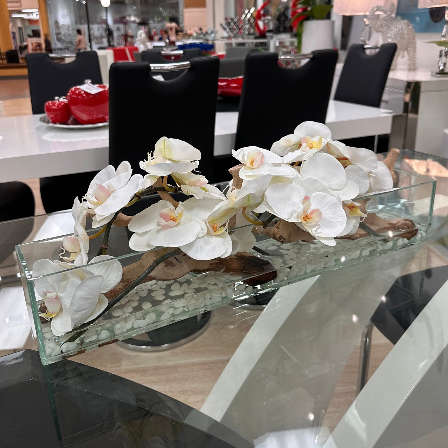 White Orchid Aquarium With Wood