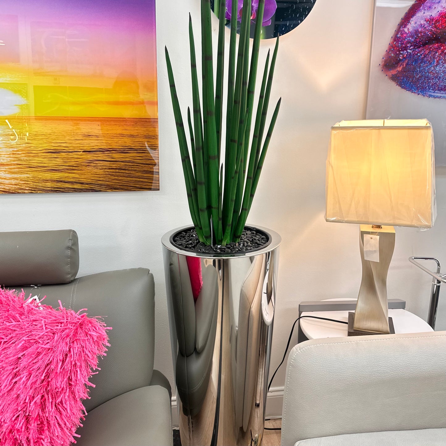 Ornamental Plant Arrangement