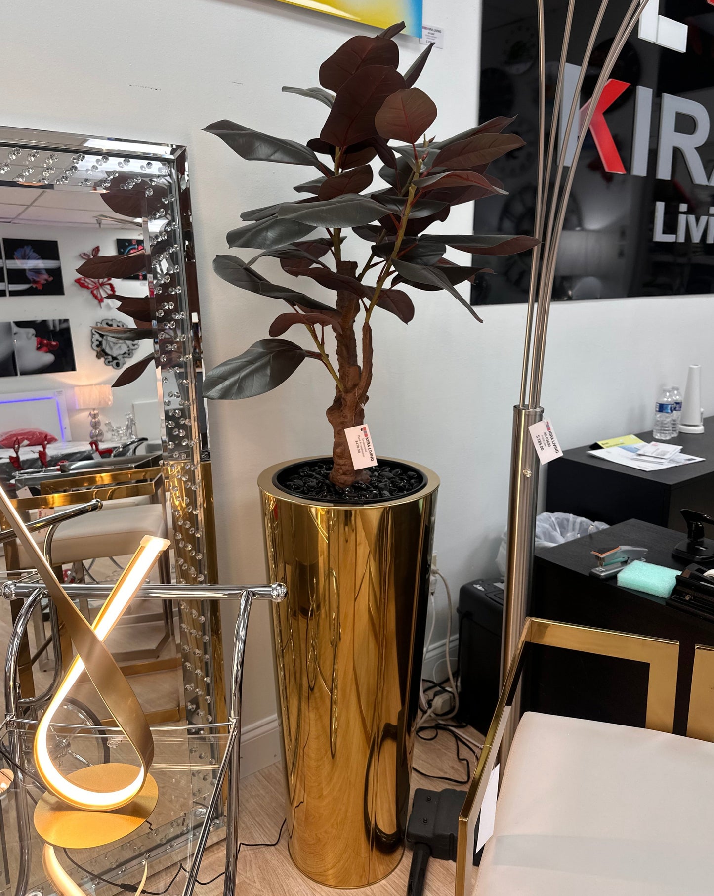 Ornamental Plant Arrangement