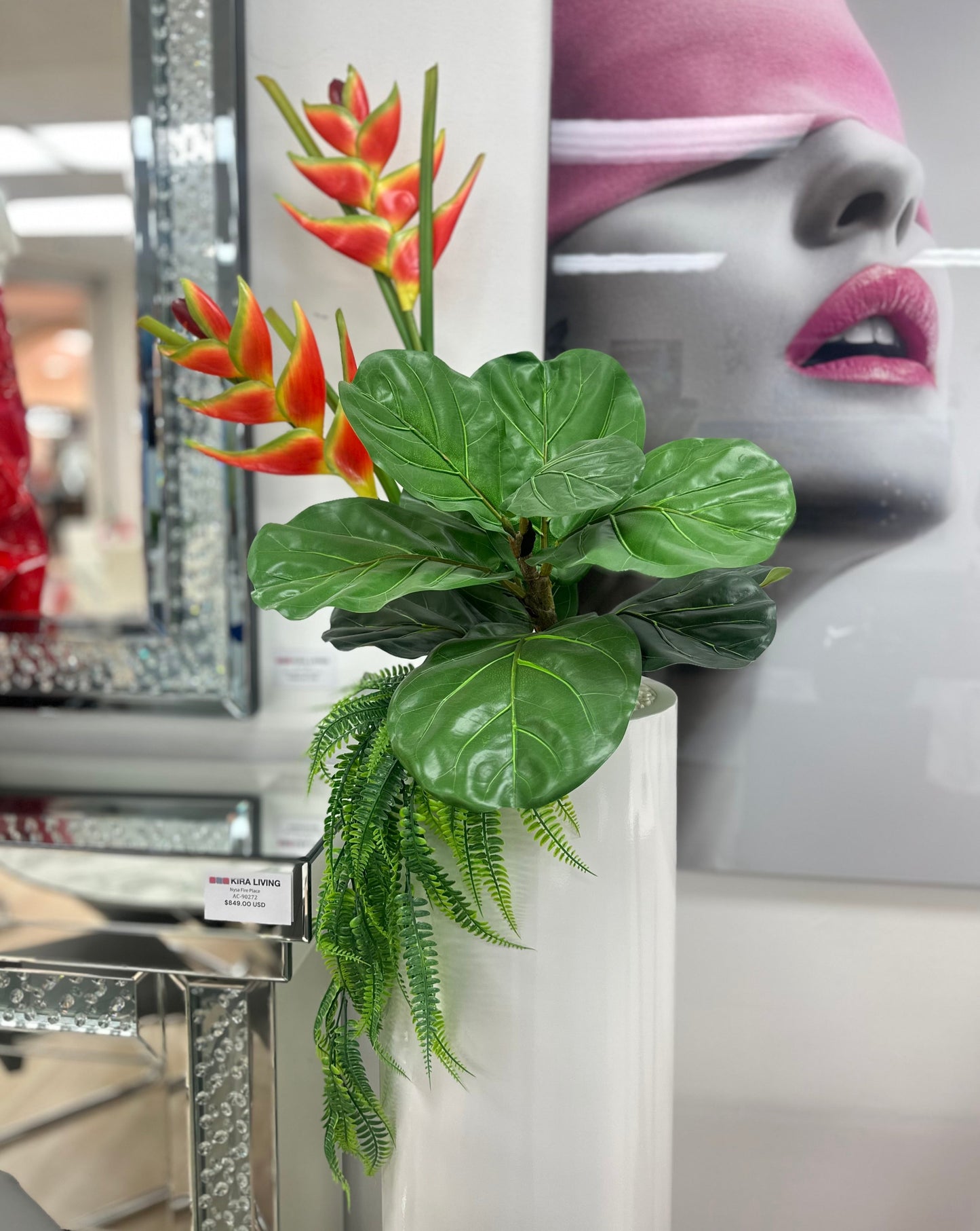 Ornamental Tropical Arrangement Plant