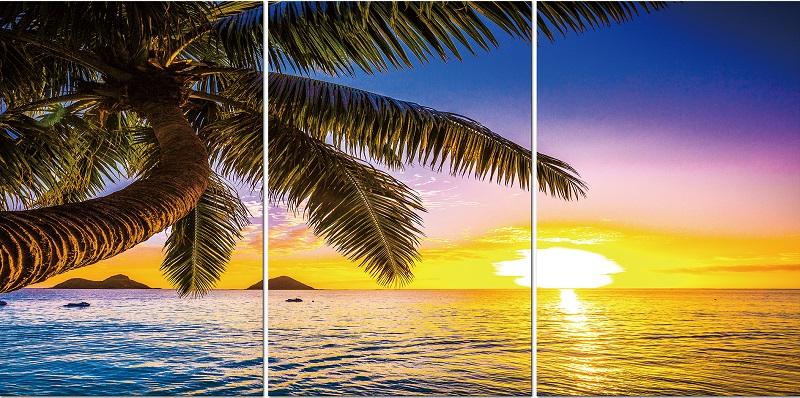 Tropical Sunrise Acrylic Picture