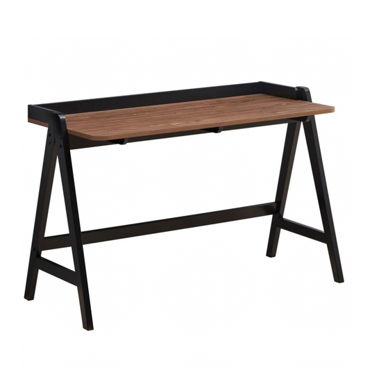 RAUL 50-inch Writing Desk with USB Ports