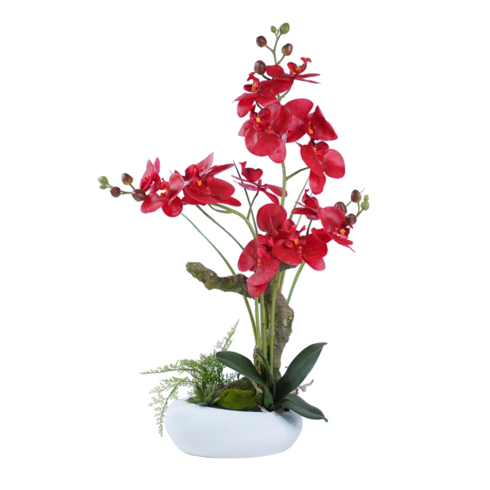 ZADIE Orchid Arrangement Decor Red