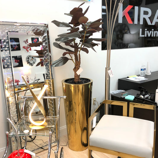 Ornamental Plant Arrangement