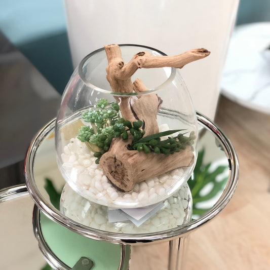 Aquarium Wood Arrangement