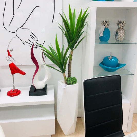 Dracaena Planter Arrangement