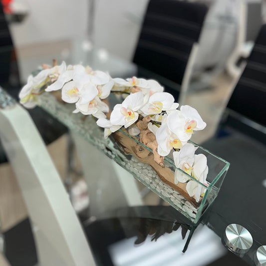 White Orchid Aquarium With Wood