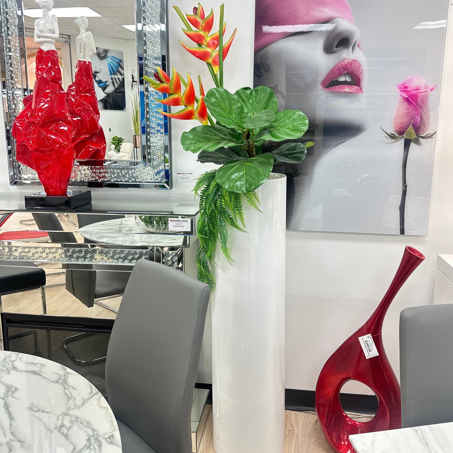 Ornamental Tropical Arrangement Plant