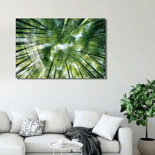 BAMBOO Forest Trees Wall Art Print