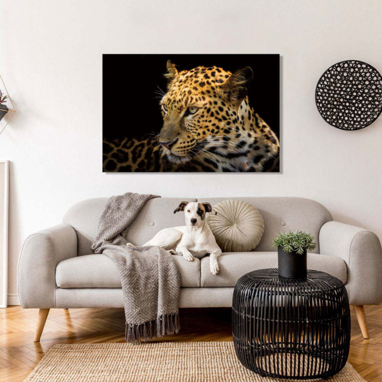 RAYNE Focused Leopard Wall Art Print