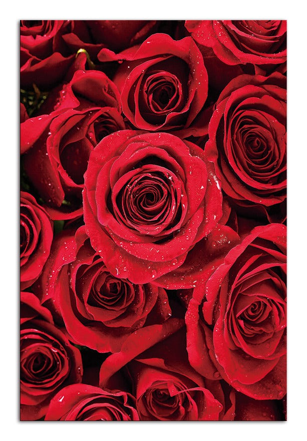 Red Roses Acrylic Picture