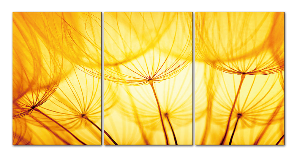 Yellow Dandelion Acrylic Picture